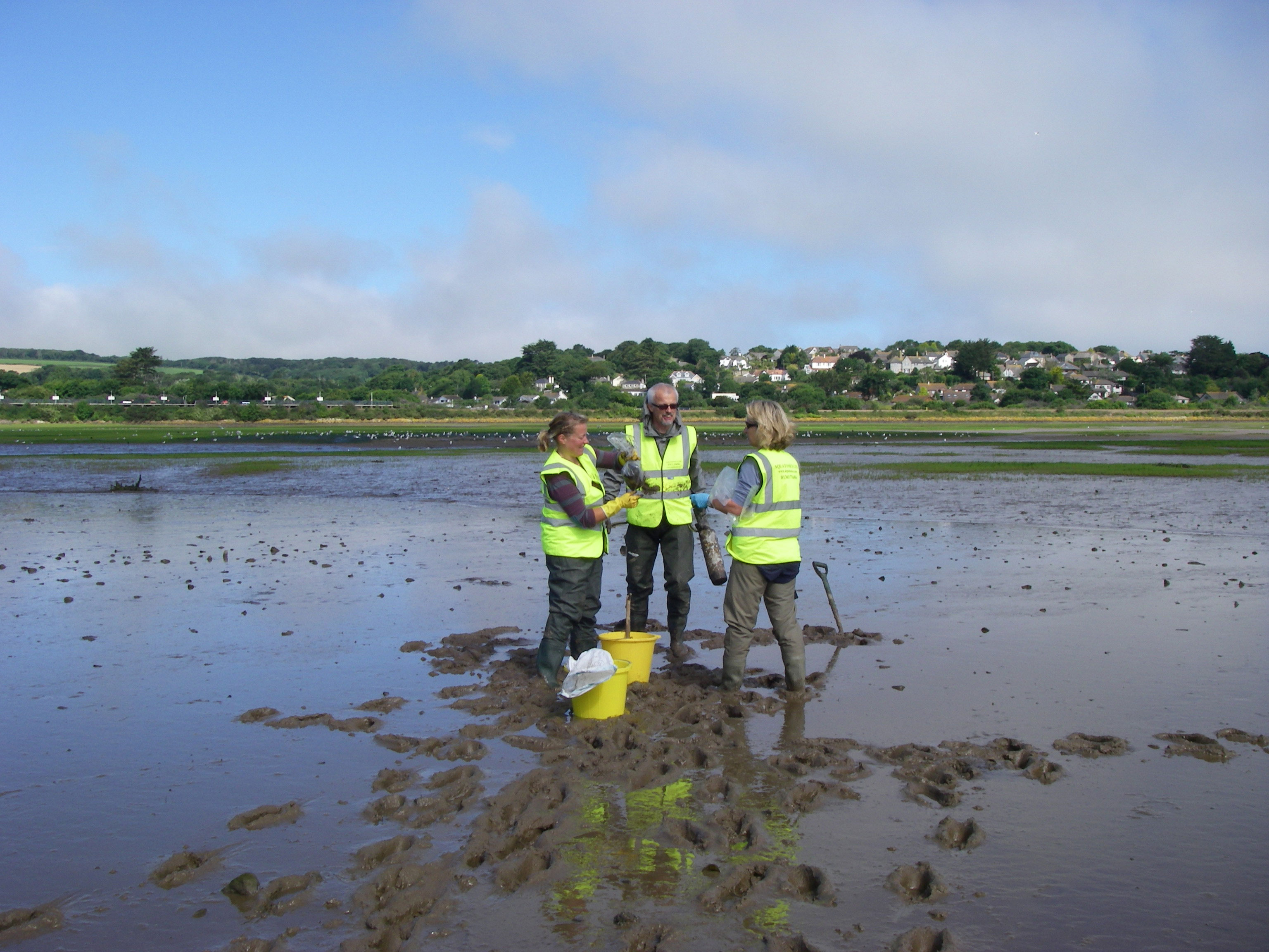 Phil and Anne sampling with Jo Rabineau, Hayle estuary 2010